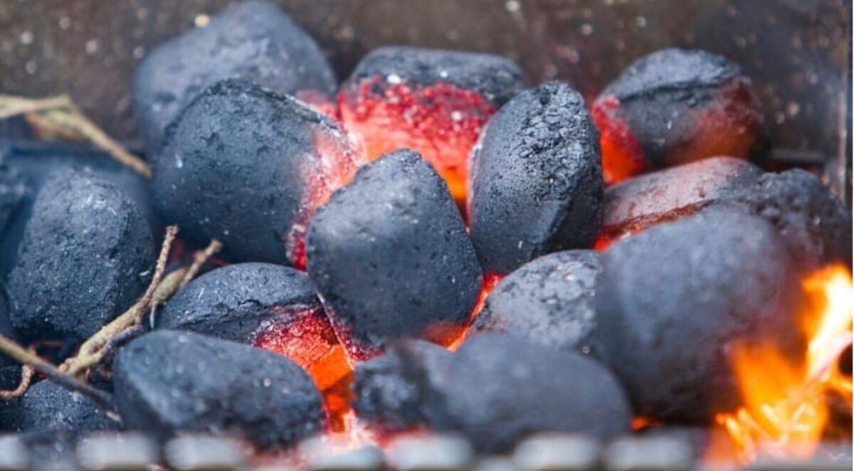 bbq pillow