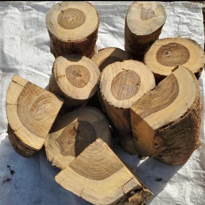 wood logs 8